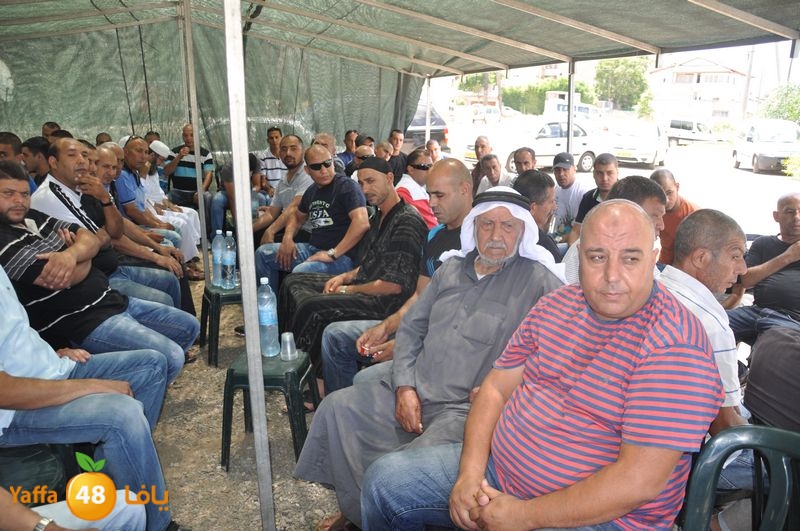 sol7desoqylud615 (86).JPG